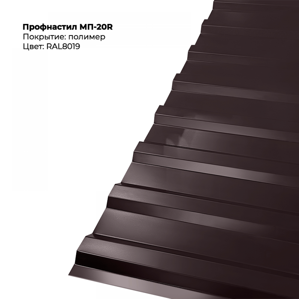 8019-6.png Профлист МП-20R (0,5мм) - RAL8019 (Серо-коричневый) — изображение 1